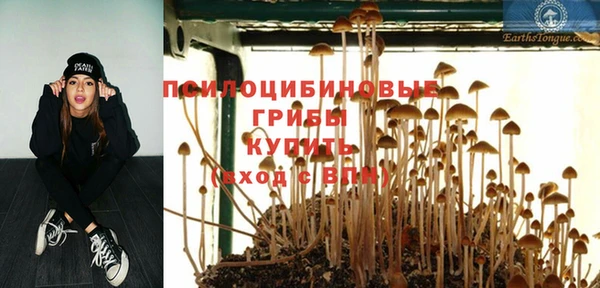 сатива Армянск