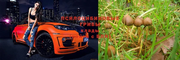 мяу мяу мука Арсеньев