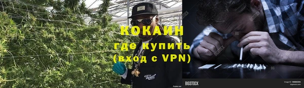 сатива Армянск