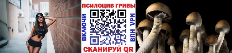 даркнет сайт  Белозерск  Псилоцибиновые грибы Cubensis 