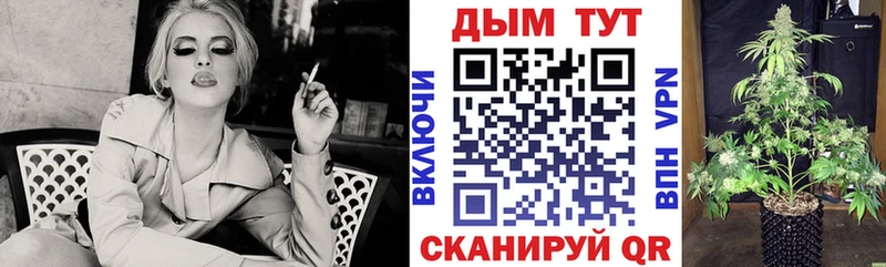 Каннабис OG Kush  Белозерск 